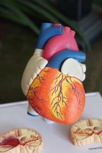 maladies chroniques